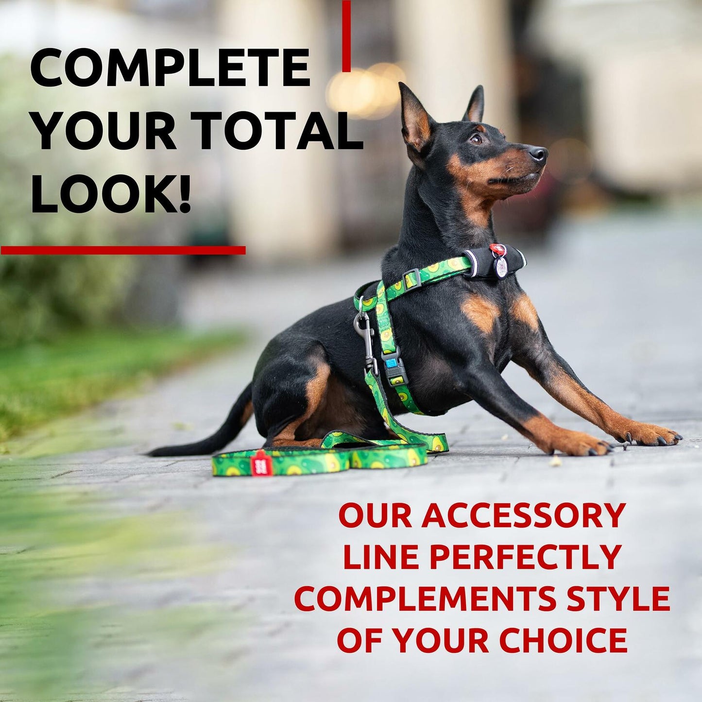 WAUDOG Nylon Dog Leash Heavy Duty 4 Ft for Small Medium Large Dogs