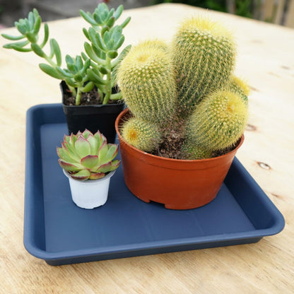 VUWEZ Plant Saucer Tray 11x9in, Heavy Sturdy Plastic Drainage Tray, 1 Pack