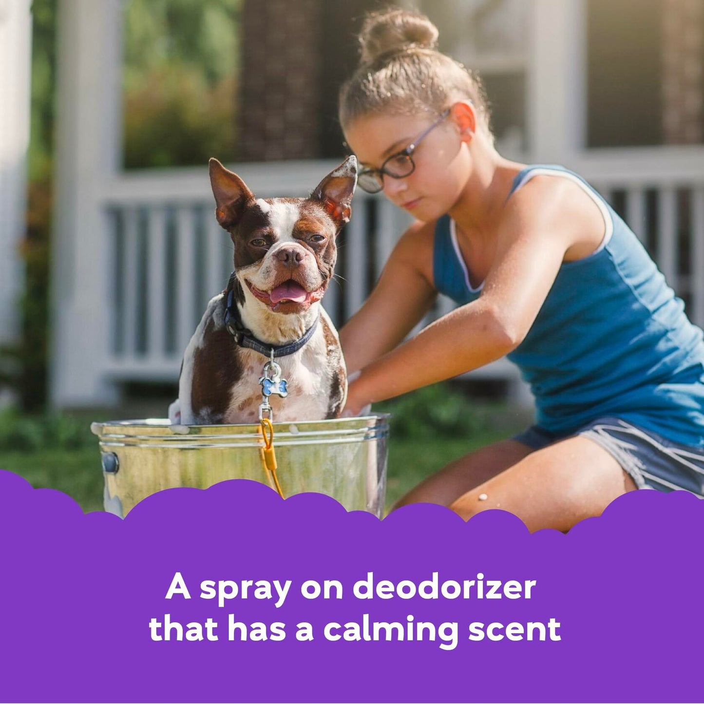 Buddy Splash Spritzer & Conditioner Dog Grooming Lavender Mint 16oz