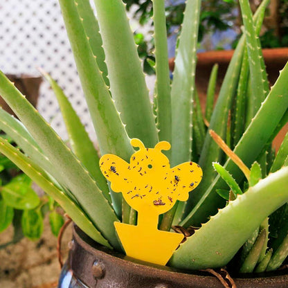 60Pcs Fungus Gnat Sticky Traps with Ties for Indoor Plants - Yellow