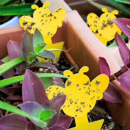 60Pcs Fungus Gnat Sticky Traps with Ties for Indoor Plants - Yellow