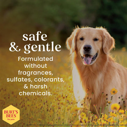 Burt's Bees Pets Eye & Ear Cleansing Wipes Fragrance-Free 100 Count