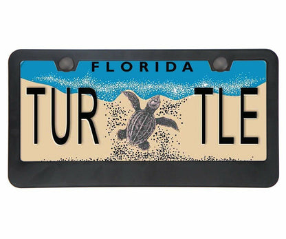 Car License Plate Frame Matte Stainless Steel Black 2 Pack with Screws Caps