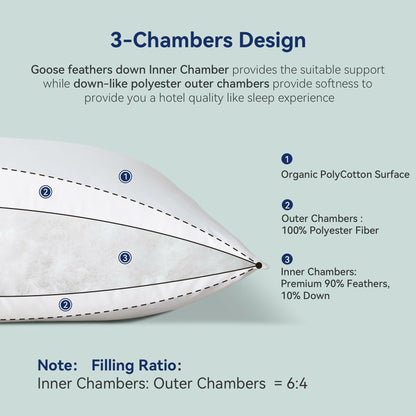 ABOUTABED Goose Feather Down Pillows Set of 2 Standard 20x26 White