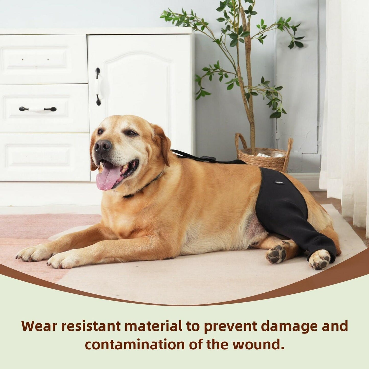 Yoneba Dog Recovery Sleeve Back Leg Breathable Material MPN DEG-08